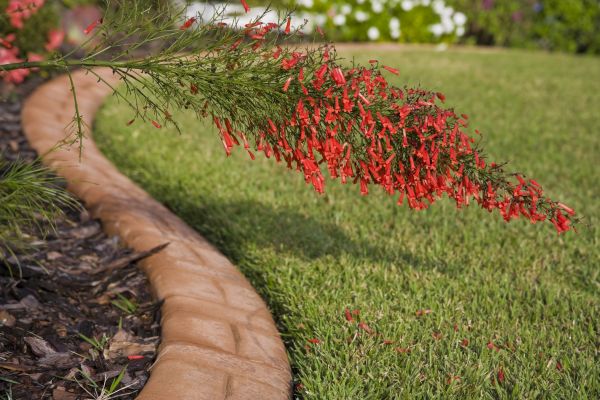 Brick Edging in South Bend