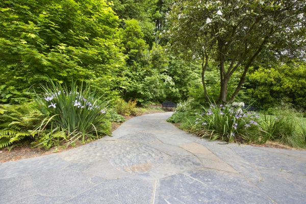 Stone Hardscape Service in South Bend